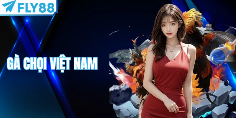 Gà chọi Việt Nam