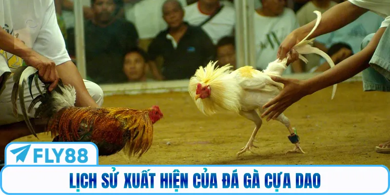 Lịch sử xuất hiện của đá gà cựa dao
