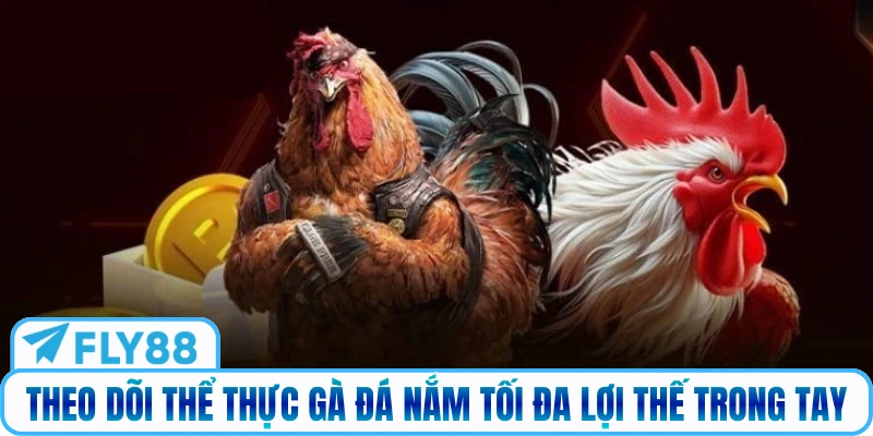 Theo dõi thể thực gà đá nắm tối đa lợi thế trong tay